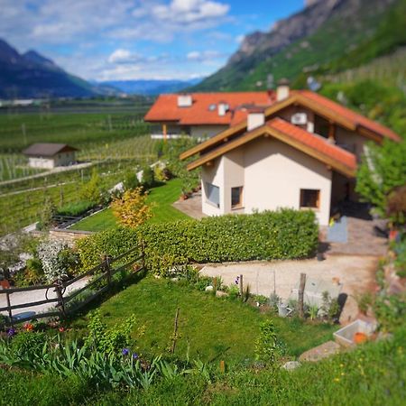 Apartmán Agritur Zuveith Salorno Exteriér fotografie
